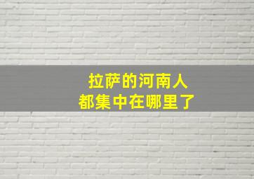 拉萨的河南人都集中在哪里了