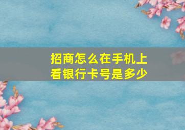 招商怎么在手机上看银行卡号是多少