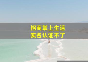 招商掌上生活实名认证不了