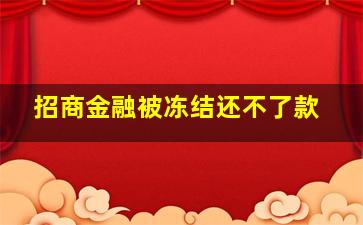 招商金融被冻结还不了款