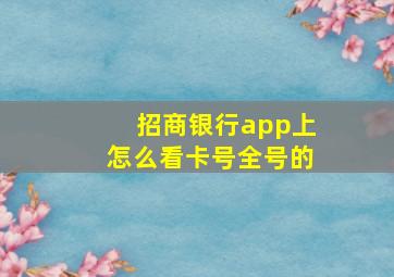 招商银行app上怎么看卡号全号的