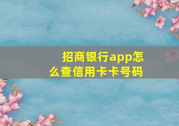 招商银行app怎么查信用卡卡号码