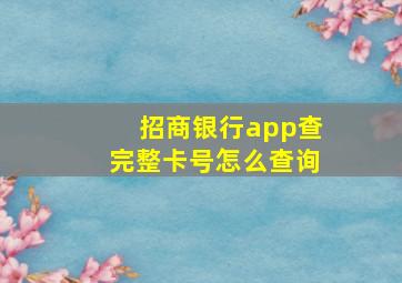 招商银行app查完整卡号怎么查询