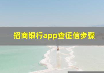 招商银行app查征信步骤