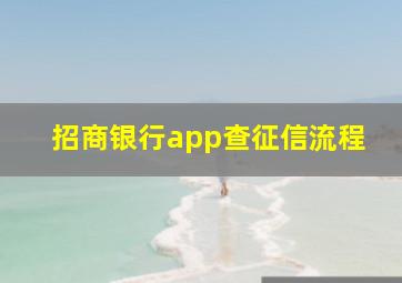 招商银行app查征信流程