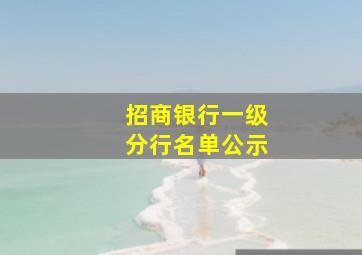 招商银行一级分行名单公示