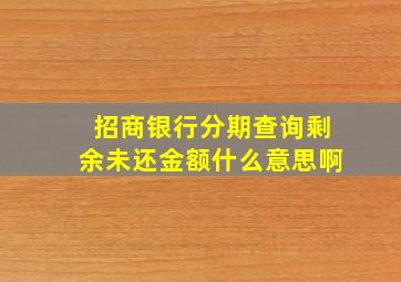 招商银行分期查询剩余未还金额什么意思啊