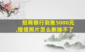 招商银行到账5000元,短信照片怎么删除不了