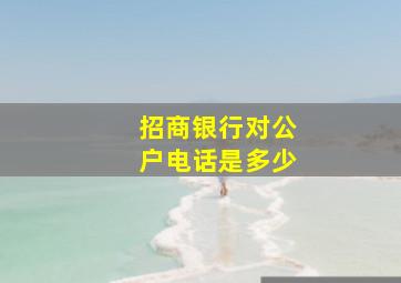 招商银行对公户电话是多少