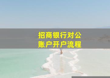 招商银行对公账户开户流程