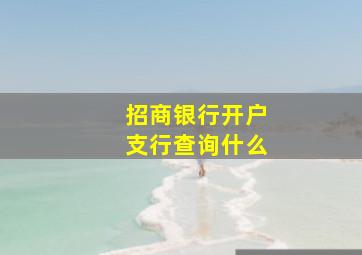 招商银行开户支行查询什么