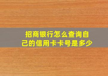 招商银行怎么查询自己的信用卡卡号是多少