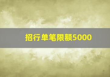 招行单笔限额5000