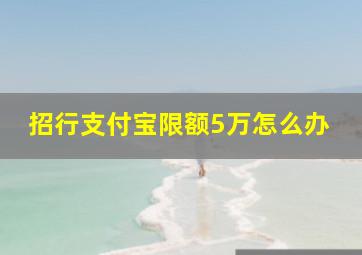 招行支付宝限额5万怎么办