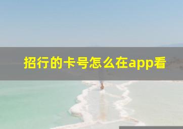 招行的卡号怎么在app看