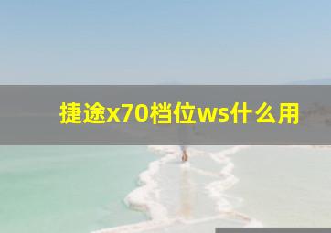 捷途x70档位ws什么用