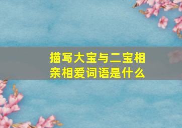 描写大宝与二宝相亲相爱词语是什么