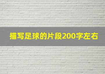 描写足球的片段200字左右