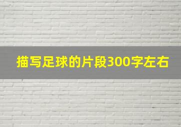 描写足球的片段300字左右