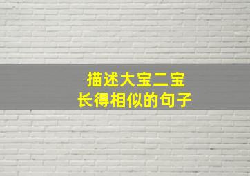 描述大宝二宝长得相似的句子