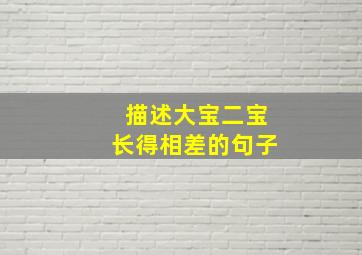 描述大宝二宝长得相差的句子