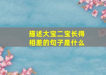 描述大宝二宝长得相差的句子是什么