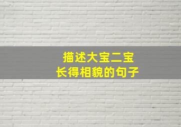 描述大宝二宝长得相貌的句子