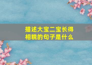 描述大宝二宝长得相貌的句子是什么