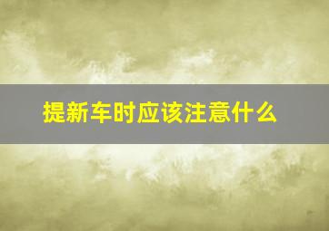 提新车时应该注意什么