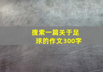 搜索一篇关于足球的作文300字