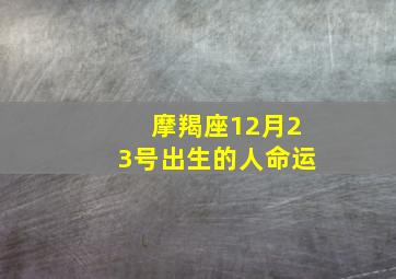 摩羯座12月23号出生的人命运