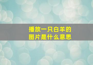 播放一只白羊的图片是什么意思