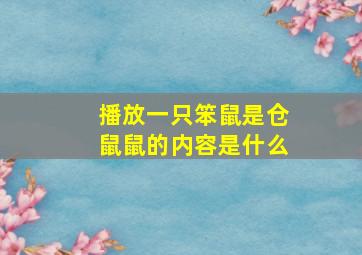 播放一只笨鼠是仓鼠鼠的内容是什么