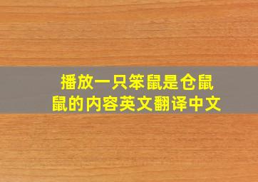 播放一只笨鼠是仓鼠鼠的内容英文翻译中文