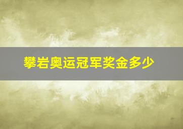 攀岩奥运冠军奖金多少