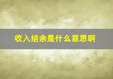 收入结余是什么意思啊