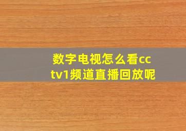 数字电视怎么看cctv1频道直播回放呢