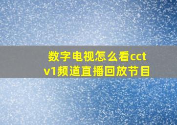 数字电视怎么看cctv1频道直播回放节目