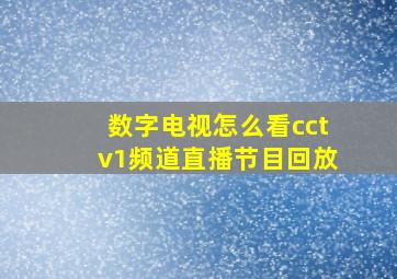 数字电视怎么看cctv1频道直播节目回放