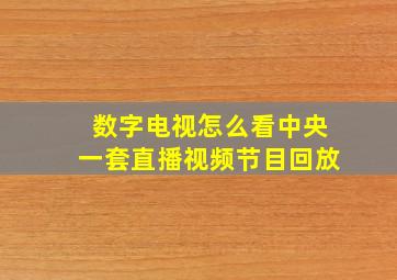 数字电视怎么看中央一套直播视频节目回放