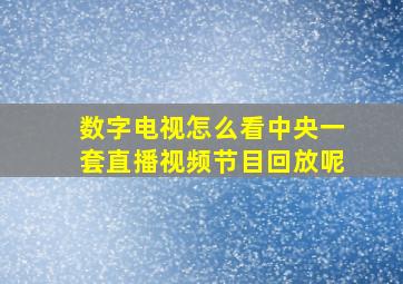 数字电视怎么看中央一套直播视频节目回放呢