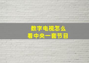 数字电视怎么看中央一套节目