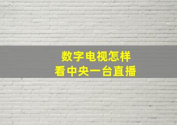 数字电视怎样看中央一台直播