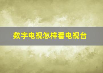 数字电视怎样看电视台