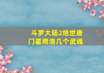 斗罗大陆2绝世唐门霍雨浩几个武魂