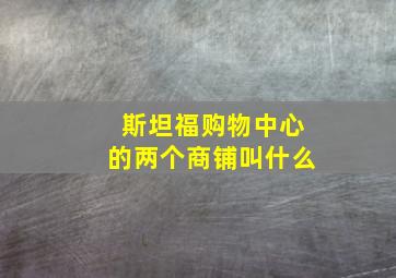 斯坦福购物中心的两个商铺叫什么