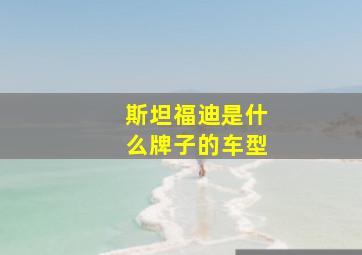 斯坦福迪是什么牌子的车型