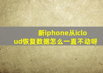 新iphone从icloud恢复数据怎么一直不动呀