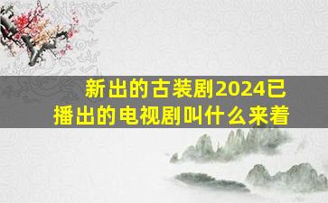 新出的古装剧2024已播出的电视剧叫什么来着