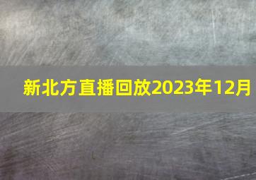 新北方直播回放2023年12月